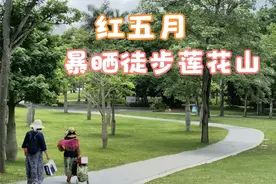 深圳莲花山公园是老年人养生休闲的好地方，沿着绿茵茵山岥走一圈视频封面