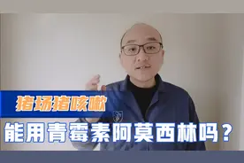 猪咳嗽不能用青霉素和阿莫西林，是真的吗？老养猪户都知道