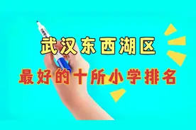 武汉东西湖区最好的十所小学排名视频封面