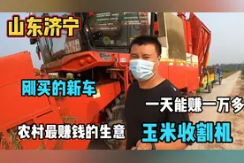 山东，玉米收割开始了，小伙23万买台玉米收割机，一天能赚一万多视频封面