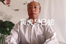 寅虎与巳蛇婚配视频封面