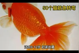 50个脑筋急转弯，适合6－12岁，赶紧收藏