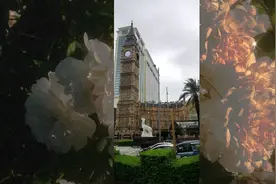 威尼斯人视频封面