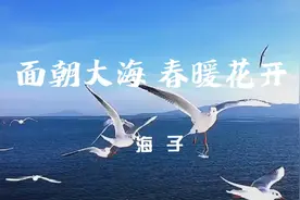 《面朝大海 春暖花开》海子 现代诗朗诵无水印背景素材，抖音合拍视频封面