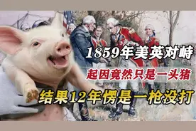 1859年，美英因一头猪集结重兵准备打仗，结果互喷12年一枪没打视频封面