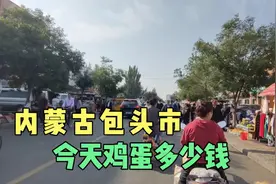 实拍内蒙古包头市民馨早市，看看今天鸡蛋和鱼类多少钱一斤视频封面