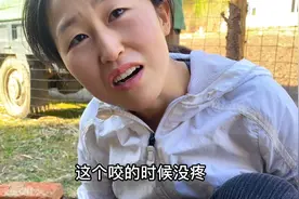 东北要命的草爬子，头钻进姑娘肉里，婆婆用土方法看可行吗