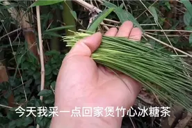 竹叶心有何用，来一杯清心解燥，特别是熬夜肝火重的朋友，收藏了