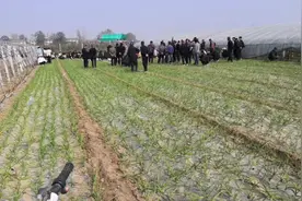 豫东农村，过三周年祭奠仪式记录