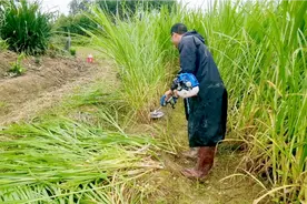 如何更快更方便使用轻便型割草机，我摸索出来一点经验分享给大家