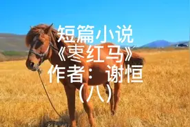 这是一段关于青春的情感故事，也是一段青涩情感的怀念~有声小说视频封面