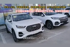 奇瑞那些车型，有颗粒捕捉器？会不会堵塞？什么方法可以消除？视频封面