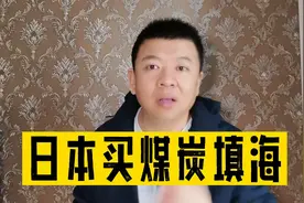 日本买煤炭填海是真的吗？视频封面