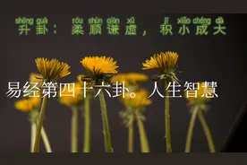 易经第46卦升卦人生启示：柔顺谦虚，积小成大。智慧处世之道