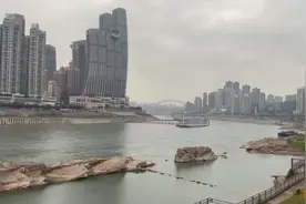 重庆东水门桥下的乌龟石露出江面了