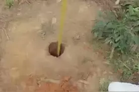 两款神奇金属探测器挑战一个铜钱2米深度实探视频封面