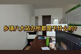 盘点乡镇政府部门——八大站办所都是干什么的？视频封面
