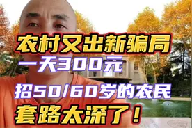 农村又出新骗局，招50-60岁农民，一天300元，套路深这工作你去吗视频封面