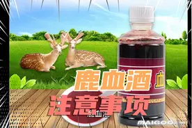 鹿血酒的注意事项