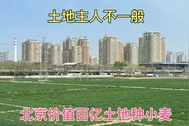 北京市中心价值百亿土地种小麦，了解以后才知道，主人不是一般人视频封面