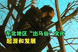 快速了解东北马家文化的起源和发展视频封面