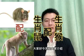 生肖鼠和生肖猴搭配相合还是相克？快转给身边属鼠和属猴的人视频封面