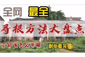 全网最全寻根问祖方法大全视频封面