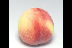 水果腐烂全过程