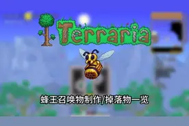 [泰拉瑞亚]蜂王详细内容/蜂王召唤物制作/掉落物一览/小知识视频封面