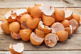 鸡蛋壳作为有机肥的3种用法，养花种菜都能用视频封面