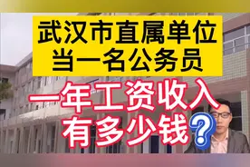 武汉大学毕业5年，在武汉市直属单位当公务员，晒出真实工资待遇视频封面