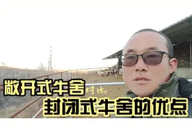 农村养牛，圈舍的实用性最重要，不要一味的追求高大上