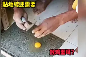 贴地砖还需要打鸡蛋，高手啊