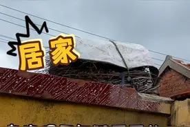 居家日常，大家都在家里干嘛～