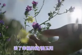 姜玉阳《丢了幸福的猪》如果爱情的路还可以再铺，我不会让你再哭