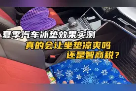 夏季冰垫实测效果！真的如商家说的那样凉爽吗？还是智商税？