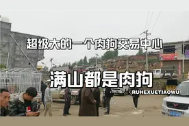 西部一个肉狗交易中心，今天交易价格19.5一斤视频封面