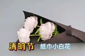 清明节用纸巾做小白花！简单易学，缅怀先烈，祭奠英雄视频封面