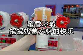 蜜雪冰城的摇摇奶昔，出个大杯的该有多好呀