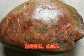 兰州奇石金丝玉也是指甲玉。它发现在兰州市什川镇附近重40多公斤