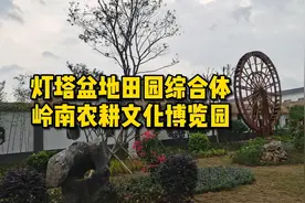 广东首家国家级田园综合体，灯塔盆地田园综合体，农村里的新鲜事视频封面