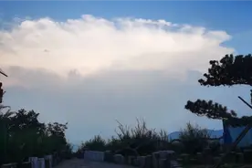 强哥教您怎样上传作品到今日头条，学会了就可以赚零花钱了。