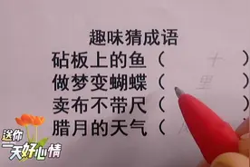 趣味猜成语，砧板上的鱼，做梦变蝴蝶，卖布不带尺，腊月的天气视频封面
