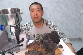 今天跟大家聊聊白桦茸，对人体的好处，以及打粉过程。