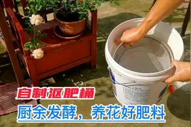 家庭自制沤肥桶，种菜养花不再愁，厨余发酵好肥料环保无臭不长虫视频封面