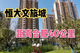 实拍安徽舒城恒大文旅城，离合肥40公里，7000一平到底值不值？视频封面