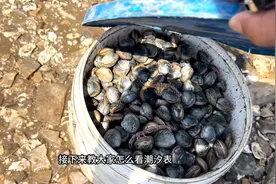 分享一个查看潮汐表的方法，以后赶海再也不会担心白跑一趟啦