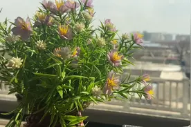 首都北京到各省会城市的时间和距离你知道吗？视频封面