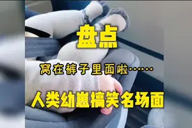 人类幼崽：师傅 停一下我要窝粑粑   下一秒就窝在裤子里面了视频封面