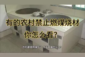 有的农村禁止燃煤烧材，配套设施又跟不上，冬天取暖怎么办？视频封面